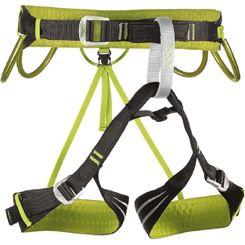Camp Alpine Flash